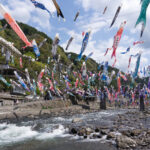 【熊本】2023年4月1日から開催中！！杖立温泉の鯉のぼり祭りが圧巻